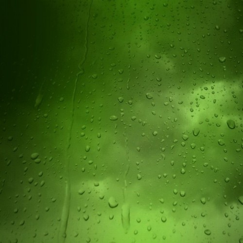 wallpapergreen-drops.jpg